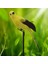 Macaw Yapay Kuşlar Kuş Papağan Modeli Veranda Avlusu Çim Peyzajı Sarı (Yurt Dışından) 4