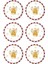 Globe Yılbaşı Serisi Pasta Tabağı 6 Lı Set 19 cm NEW029 1