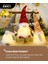 1 Adet Işıklı Noel Gnome Süslemeleri (Yurt Dışından) 2