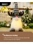 2 Adet Işıklı Noel Gnome Süslemeleri (Yurt Dışından) 4