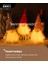 1 Adet Işıklı Noel Gnome Süslemeleri (Yurt Dışından) 5