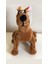 Scooby-Doo Peluş 30 cm 2