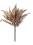 Eğrelti Otu ( Fujer ) 50 Cm. 3