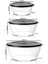 Royal Kap 3'lü Set 990-1.3-2.4 Lt Syh Saklama Servis Kabı 2