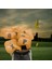 10 Adet Golf Demir Headcover, Tüm Markalar Için Number Işlemeli Koruma Sarı (Yurt Dışından) 5
