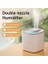 3000 ml Büyük Boylu Çift Sprey Ev Hava Nemlendirici LED Işık ile Masaüstü Mist Maker Ev Ofis Yatak Odası Için Sessiz Püskürtücü | Nemlendiriciler (Yurt Dışından) 2
