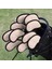 10 Adet Meshy Golf Demir Set Kapakları Golf Kulübü Başak Kapak Yumuşak Su Geçirmez Gümüş (Yurt Dışından) 3