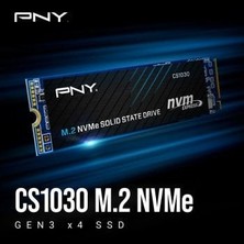 Pny CS1030 500GB 2000/1100 Nvme Pcıe GEN3X 4 M.2 SSD (M280CS1030-500-RB)