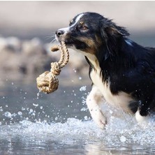 Happy Pet Köpek Oyuncağı Diş Kaşıma Çekiştirmeli Doğal Bitkisel Kenevir Jut Halat