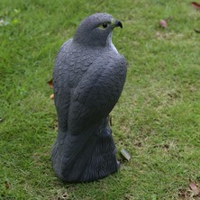 Royal Love Gerçekçi Falcon Decoy Weed Haşere Kontrolü Kovarlı Bahçe Korkuluk A (Yurt Dışından)