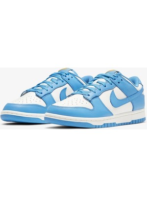 Nike Dunk Low Coast (W)