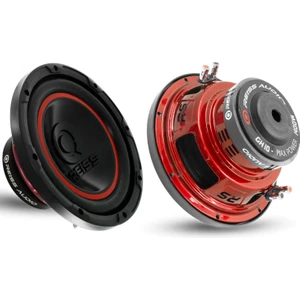 Reiss Audio Oto Bass Subwoofer 25CM 400W 1 Adet Reıss Audıo RS-GH10