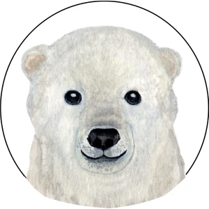 Agu Patch - Kutup Ayısı Po Beyaz Derı