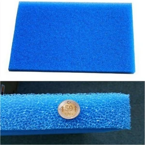 Canlı Petshop Biolojik Sünger 15X15 Cm2 Mavi