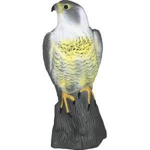 Royal Love Gerçekçi Falcon Decoy Weed Haşere Kontrolü Kovarlı Bahçe Korkuluk A (Yurt Dışından)
