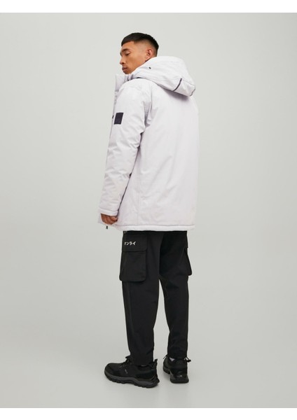 Jack & Jones Erkek Gri Ceket ( Model Kodu : 12215920 )