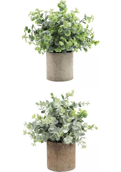 Dekoratif Yapay Çiçek (Yurt Dışından)