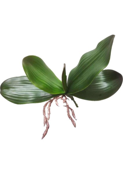 Dekoratif Yapay Çiçek (Yurt Dışından) fiyatları