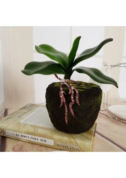 Dekoratif Yapay Çiçek (Yurt Dışından) fırsatları