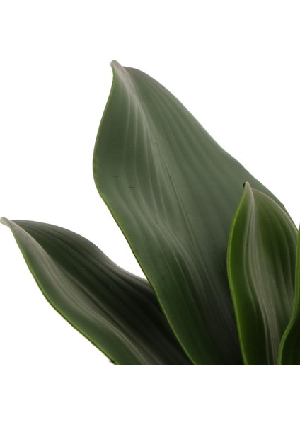 Dekoratif Yapay Çiçek (Yurt Dışından) indirimleri