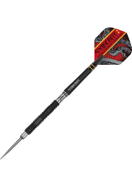 Red Dragon Peter Wright Double Wc Se 22 G Dart Oku Seti