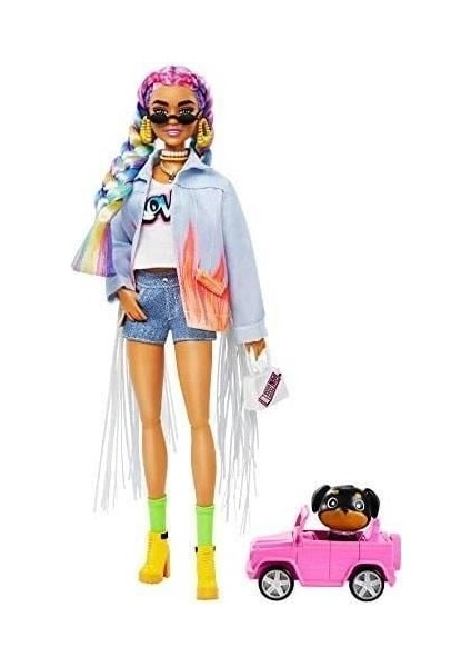 Barbie Extra  Renkli Örgü Saçlı Bebek GRN29