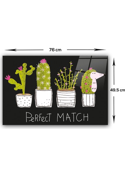 Cam Ocak Arkası Koruyucu | Perfect Match - Siyah Fon | modelleri