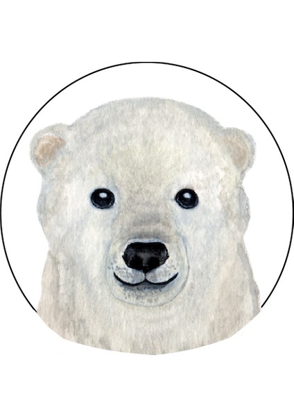 Agu Patch - Kutup Ayısı Po Beyaz Derı