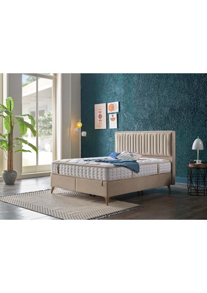 Petra Başlık 150 cm - Vizon