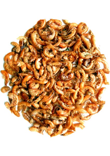 Gammarus Turtle Kaplumbağa Yemi 1000ML ve 250ML Turtle Sticks Bonisa ve Multivitamin