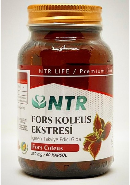 Ntr Fors Koleus Ekstersi