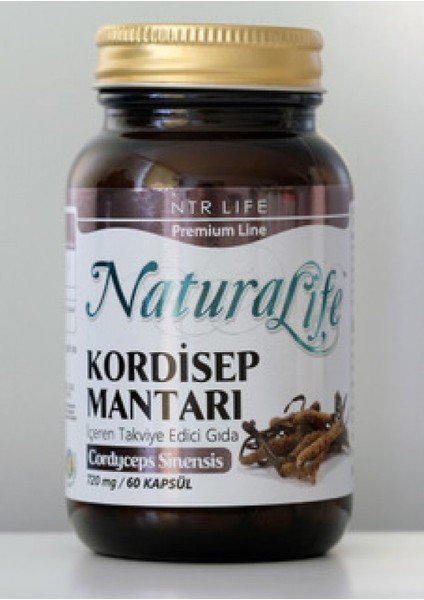 Ntr Cordyceps Mantarı