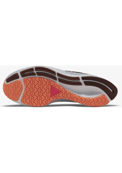 Air Zoom Pegasus 38 Shield Koşu Ayakkabısı