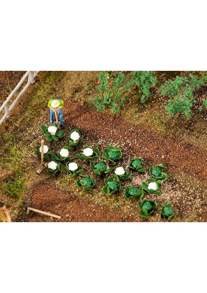 181257 Yeşil Lahanalar ve Karnabaharlar, 20 Adet