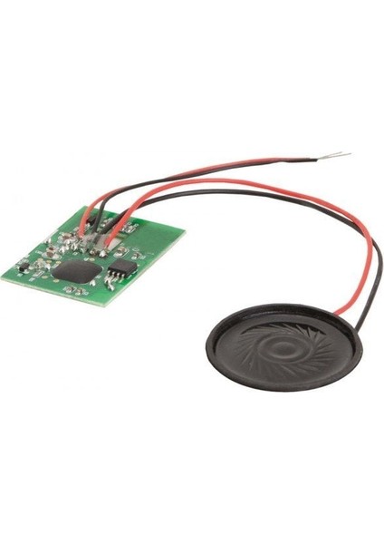 12850 Muhtelif Çiftlik Sesleri Elektronik Devre Kiti modelleri