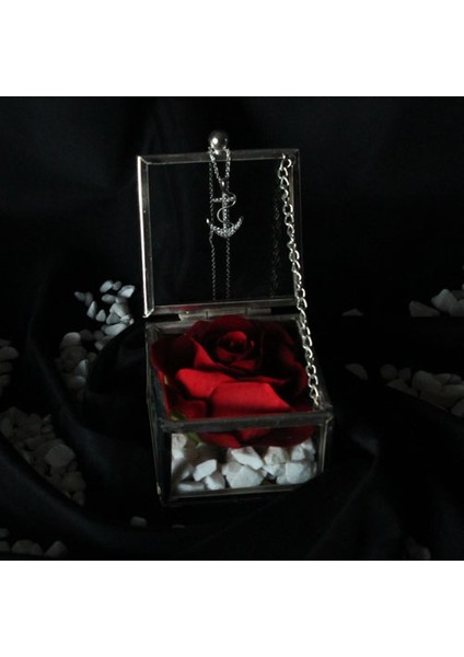Dekoratif Kutu Kapaklı Camlı Metal Kırmızı Gül Çapa Kolye Hediye