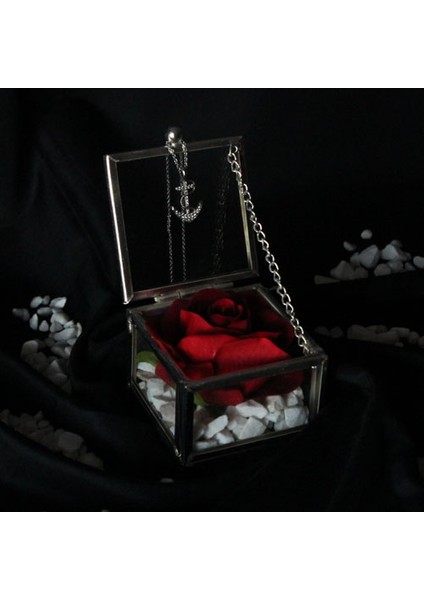 Dekoratif Kutu Kapaklı Camlı Metal Kırmızı Gül Çapa Kolye Hediye fiyatları