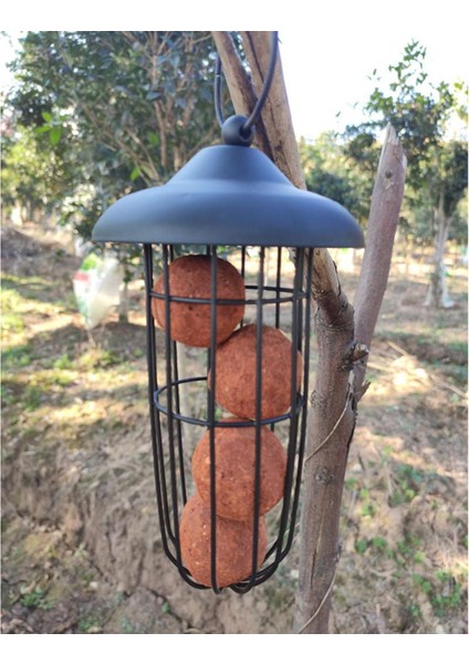 Kuş Besleyici Fatball Squirrel Proof Kuş Besleyici Açık Bahçe Ağacı Asma (Yurt Dışından) modelleri