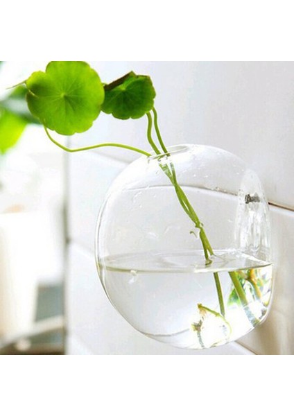 5x Hidroponik Bitki Pot Asma Cam Vazo Çiçek Balık Tankı Dekor Topu 10CM (Yurt Dışından) modelleri