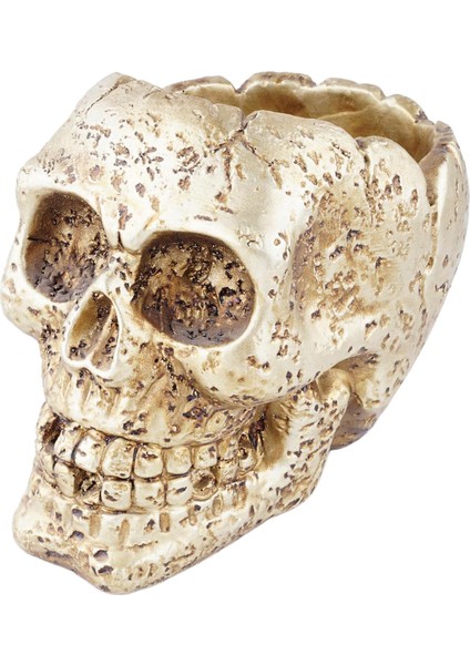 Retro Saksı Gotik Sulucent Ekici Dekor Kapalı Dış Mekan 4.7 '' Dia. (Yurt Dışından) fiyatları