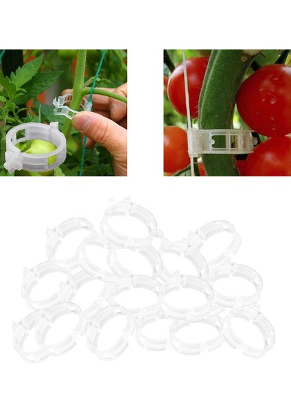 Sera Için 200X Bitki Kelepçesi Vines Bahçesi (Yurt Dışından) modelleri