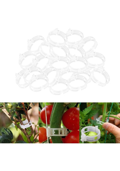 Sera Için 200X Bitki Kelepçesi Vines Bahçesi (Yurt Dışından) fırsatları