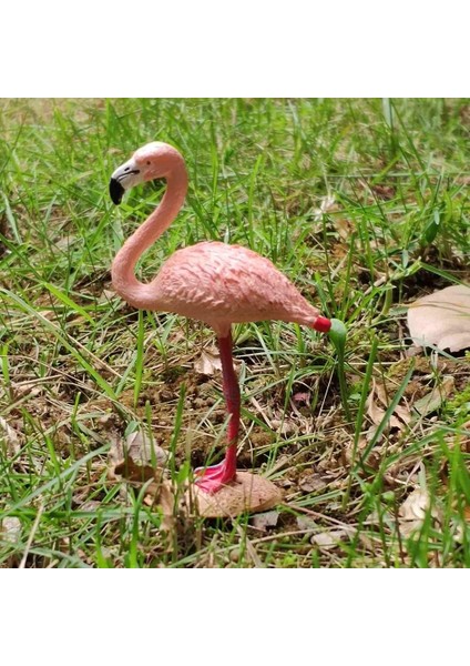 2 Hayvan Modelleri Simülasyon Kuş Figür Modeli Plastik Heykelcik - Flamingo (Yurt Dışından)