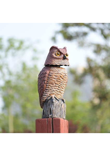 Büyük Baykuş Şahin Dezi Heykeli Yard Bahçe Karga Açık Mekan Caydırıcı Süsler (Yurt Dışından) fiyatları