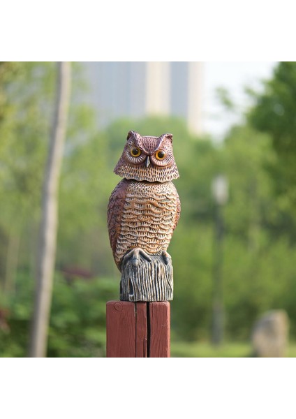 Büyük Baykuş Şahin Dezi Heykeli Yard Bahçe Karga Açık Mekan Caydırıcı Süsler (Yurt Dışından) modelleri