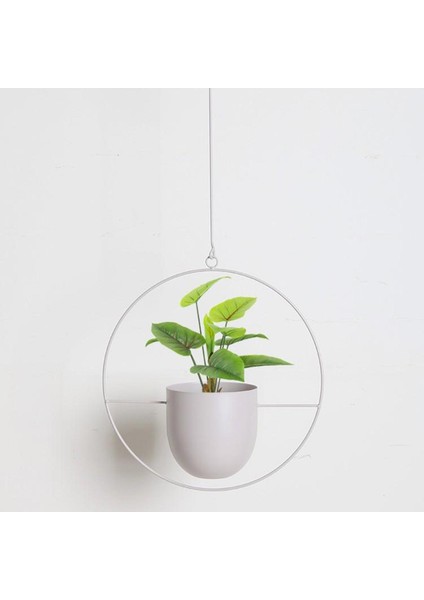 2x Bitki Askı Duvarı Asma Çizici Tenceresi ve Dış Mekan (Yurt Dışından) modelleri