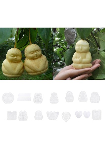 2 Adet Meyveler Şekillendirme Küfü Meyve Büyümesi Şekillendirme Kalıp Salatalık Şekillendirme Kalıbı (Yurt Dışından) fırsatları