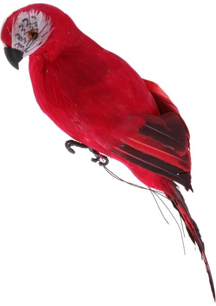 3x Doğa Parrot Masaüstü Süsü Yapay Tüylü Kuşlar 35CM (Yurt Dışından) fiyatları