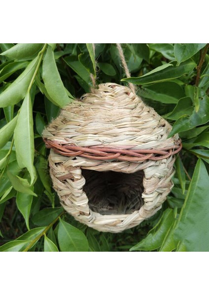 4x Kuş Yuvası Damızlık Kutusu Yabani Çim Dokuma Kanarya Finch Budgie House Küçük (Yurt Dışından) modelleri