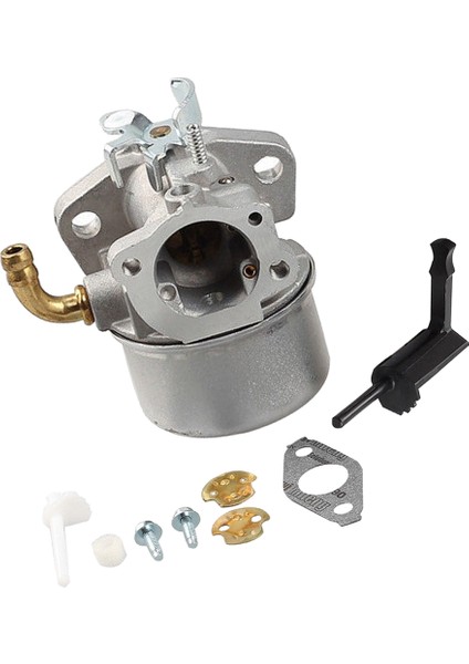 Briggs & Stratton Için Yeni Karbüratör 795069 698859 790180 790290 693865 (Yurt Dışından)